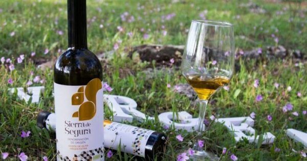Comprar Aceite de Oliva Virgen Extra de Jaén