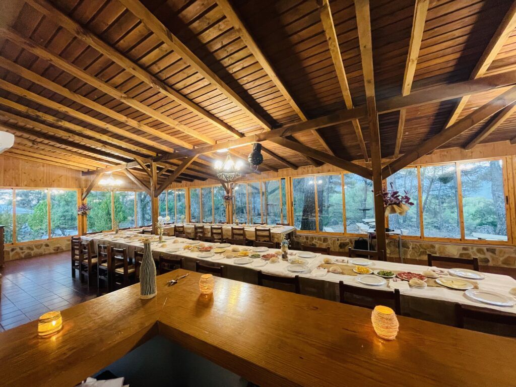 Alojamientos Oleoturísticos Sierra Segura
