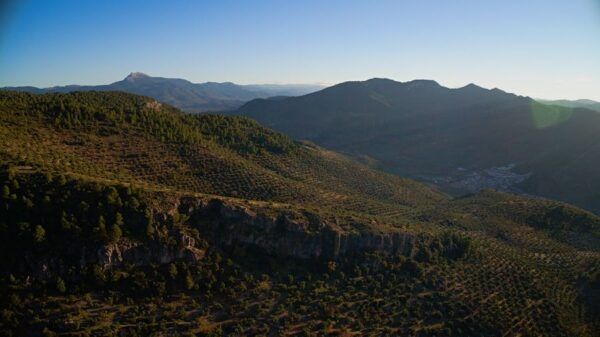 Esperiencia Oleoturística en La Sierra de Segura Jaén