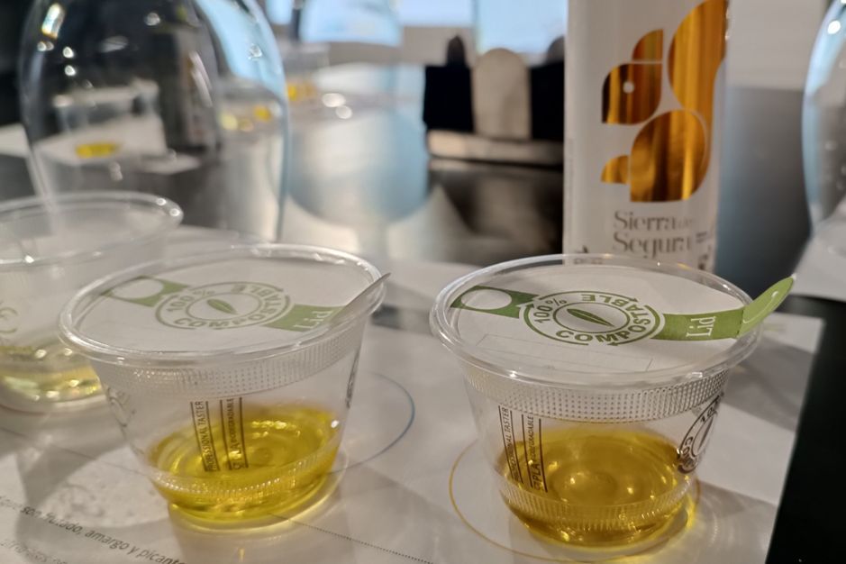 Aceite de oliva virgen extra de Jaén Denominación de origen Sierra de Segura Ecologico cosecha temprana gran formato comprar